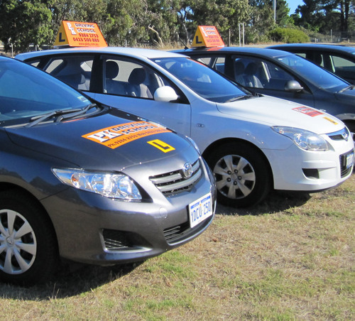 pkdschool's profile picture. 