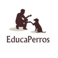 Como educar y alimentar a tu perro