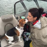 Amy Hynek (@ahynek) 's Twitter Profile
