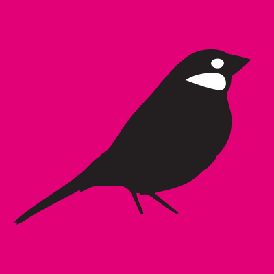 BurnCeramics's profile picture. Bernadette_Esperanza_Torres  #Ceramist #ArtTeacher #Ceramic  #flowerjewelry #flowers #Figurativeceramic #sculptures, #JavaFinch #birds #clay #WomanArtist