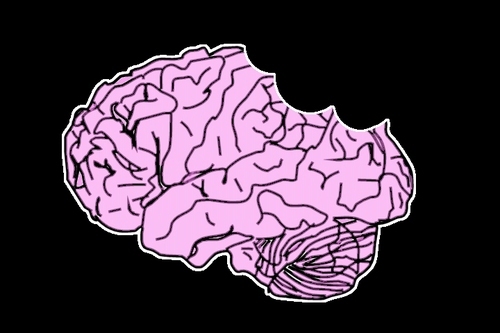 dto1984's profile picture. 