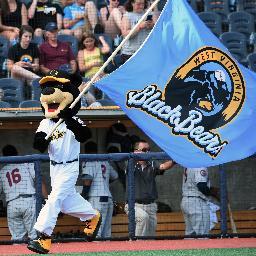 The official mascot of the West Virginia Black Bears, short season A affiliate of the Pittsburgh Pirates