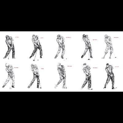 swolepockets's profile picture. 