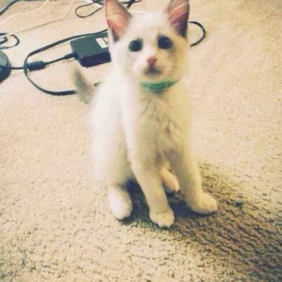 YichengXiao's profile picture. Live a life you will remember