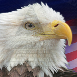 TypicalGOP's profile picture. A typical guy living a typical life. My little piece of the American pie.   That will not be the case if the Communists continue to destroy America..