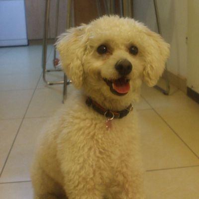 shira7879's profile picture. 