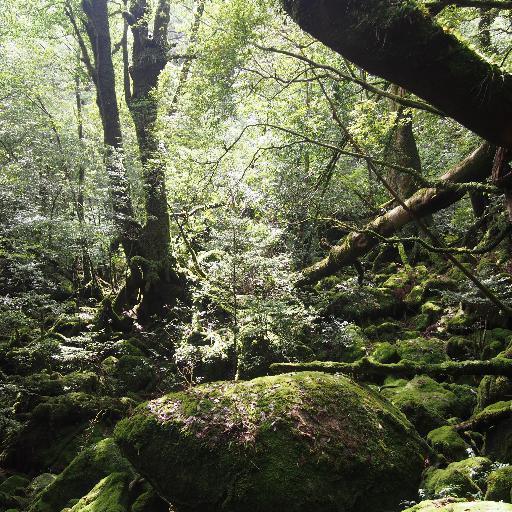 iressa3's profile picture. FGMF　役職　医務
中身は医者らしい
れとろげ中に気分が悪くなった場合には、まずはご相談を。
れとろげ二次会参加中、気分が悪くなった場合は、しっかりと対応させて頂きますが、アルコール入っている可能性があります。
その他、参加に際して体調などでご心配な方は、気軽にご相談ください。
返信は遅くなります。