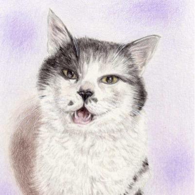 ななねねののandさくらにめろと小梅さんさんのプロフィール画像
