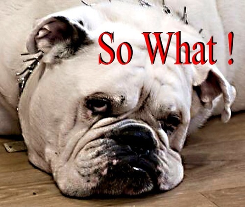 Mrnavas7's profile picture. Christian, father of 3, animal advocate, pitbulls, Libertarian.