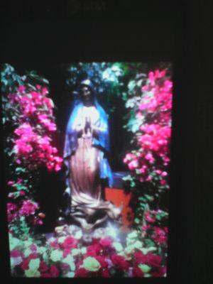 HarmesSheri's profile picture. 