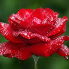 Mkumar73Kumar's profile picture. 