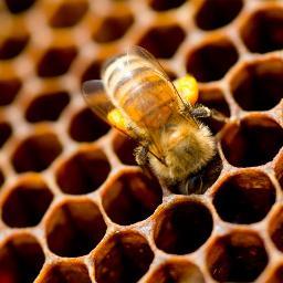 web2beetech's profile picture. 