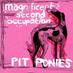 Pit Ponies (@PitPonyRecords) Twitter profile photo