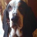 Harry Robb - @HarryRobb47 - Twitter