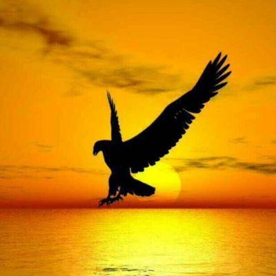 abb3cbf91a0e44d's profile picture. 