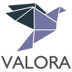 valoraplacement's profile picture. BFSI focused placement company headquartered at New Delhi, India