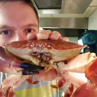 Michaelangelo Hindma (@michaelangelohi) 's Twitter Profile