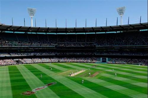 cricket63's profile picture. cricket fan