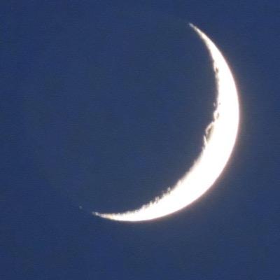 whippleiv99's profile picture. 