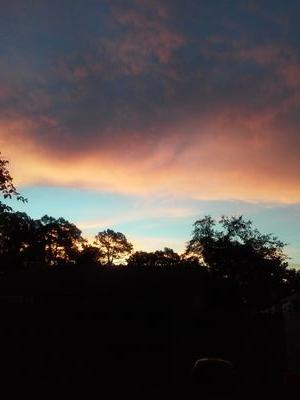 Karaaamel's profile picture. 