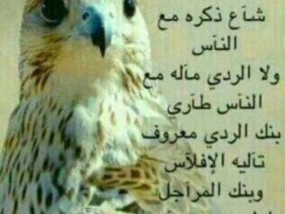 stylesheet1's profile picture. حبي وعشقي قناة بدااااااااااااااااي
واموت بشي اسمه بداية
 أنآ إبنة بداية ويزيدني فخراً وشرفــاً دمتي لنا بدد