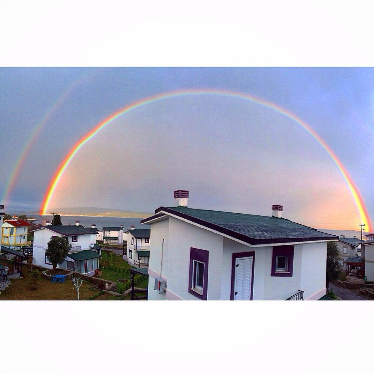 GulcanErgun's profile picture. Döngüsel ekonomi, sürdürülebilir kalkınma..Circular economy and sustainable development. A circular world is possible🖖