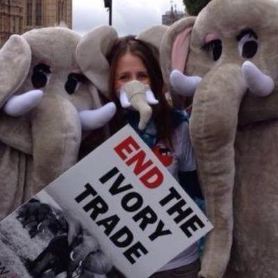 MissyManOnion's profile picture. I want to live in a World where there is no suffering or cruelty! When will humans realise that we are not a dominent species and animals are not a commodity!