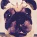 desufnoc_chick (@desufnoc_chick) Twitter profile photo desufnoc_chick (@desufnoc_chick) Twitter profile photo