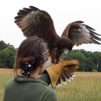 Kate Layte (@_katejp) 's Twitter Profile