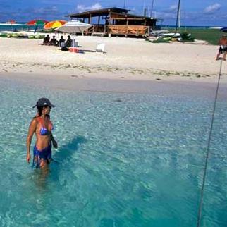 elisageraldi's profile picture. Con la sangre italiana de mi padre y el corazón venezolano de mi madre.