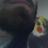 birzamir's profile image