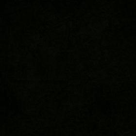 Al_N_11's profile picture. 