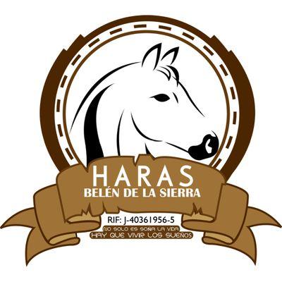 novel haras dedicado a la cria del pura sangre de carreras agrobelendelasierra@outlook.com