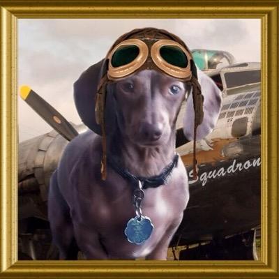 Rescued 4/2012 DRNA Alumni. Expert Frog & Zombie Hunter. SDD 795 #TheAviators Cpt. and #ZSHQ member Zombiesquad rank Pvt