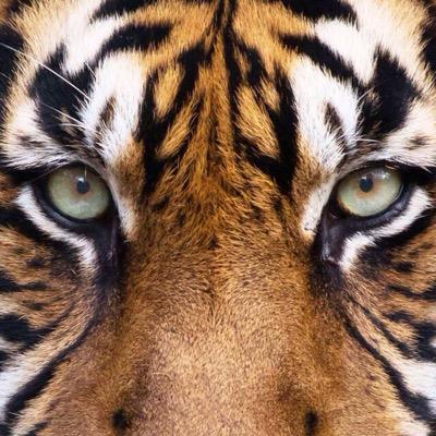 Memo62776974's profile picture. 