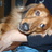 chaco_a's profile image