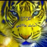المستحيل (@tames11) Twitter profile photo