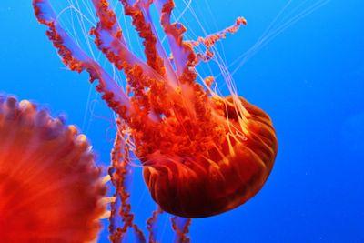 RiverPlateVC's profile picture. Start-ups business partner en Silicon Valley