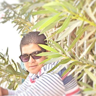 msamiff's profile picture. 