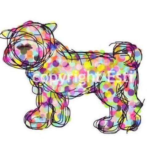 Snofalls1's profile picture. 