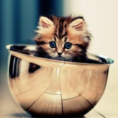 2017Maron0727's profile picture. 就活情報の収集、共有のために就活専用アカ作りました。2017年卒です。よろしくお願いします。