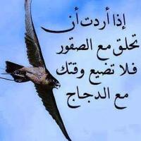 خالد علي (@abuali12287) 's Twitter Profile Photo خالد علي (@abuali12287) 's Twitter Profile Photo