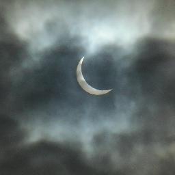 deb_hogarth's profile picture. 