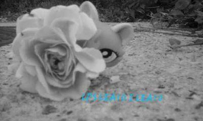 leapuskaric10's profile picture. Im a youtube im from coratia soooo yea !!!love you alll ♡♡♡♡♡