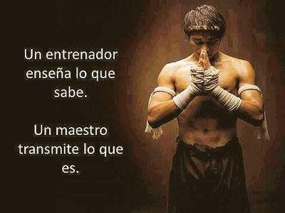 sg_gatinho's profile picture. Maestro de educacion fisica y amante del fútbol.
Nada podemos esperar si no es de nosotros mismos