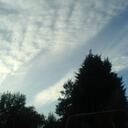 Emma Hamlin - @snowmonkey666 - Twitter