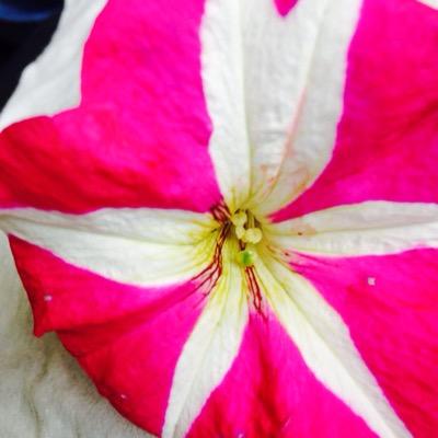 glossy45_lb's profile picture. 