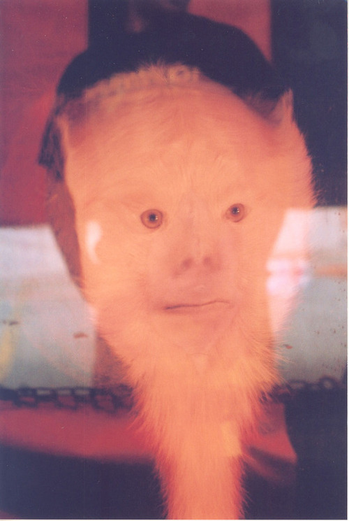 ckcker's profile picture. adult documentary