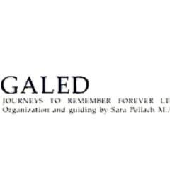 Galed Hamed Profile