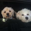 Michael Funches - @M_Funch - Twitter